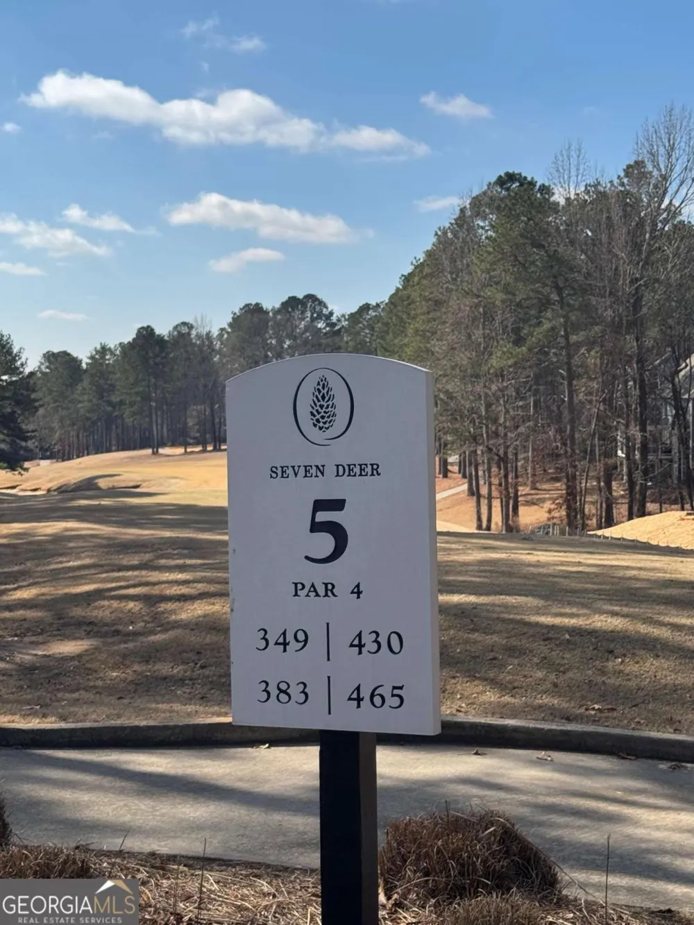 1041 Shadow Creek WAY Greensboro, GA 30642