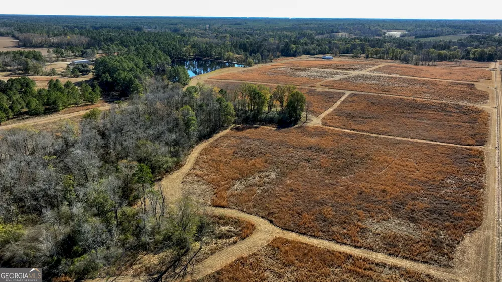 2685 Carters Bridge RD Claxton, GA 30417