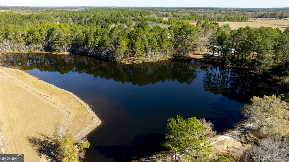 2685 Carters Bridge RD Claxton, GA 30417