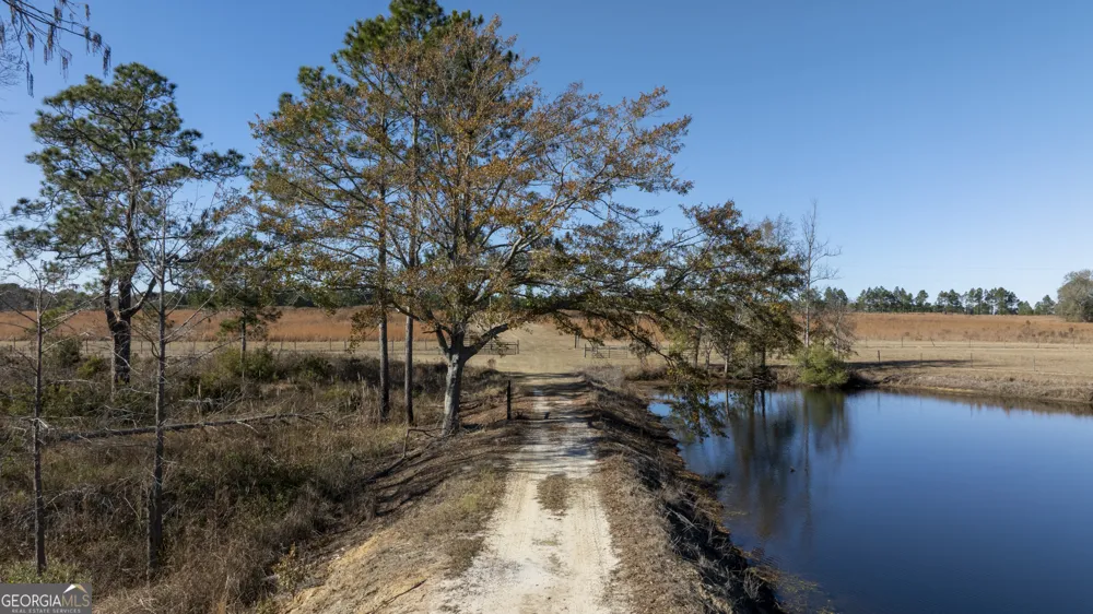 2685 Carters Bridge RD Claxton, GA 30417