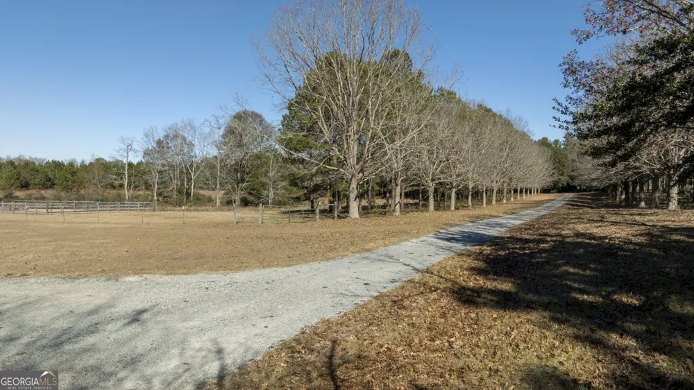 2685 Carters Bridge RD Claxton, GA 30417
