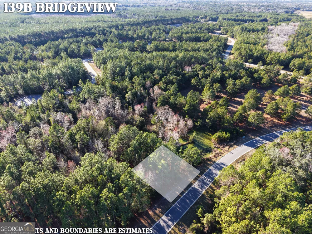 LOT 388 Bridge View LN Waverly, GA 31565
