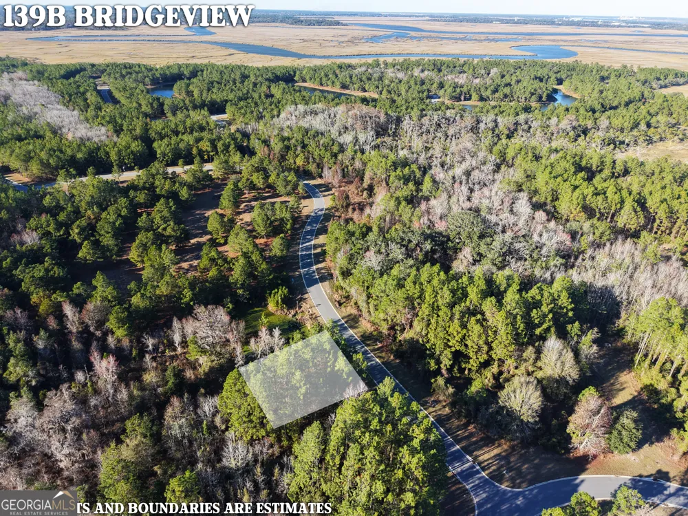 LOT 388 Bridge View LN Waverly, GA 31565