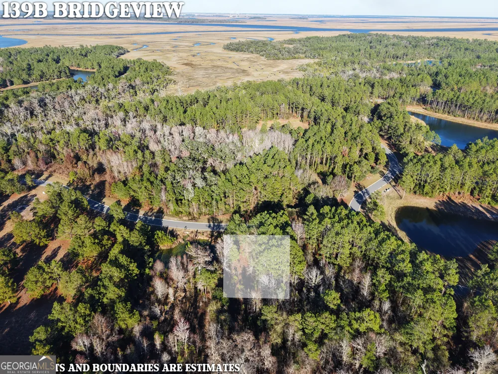 LOT 388 Bridge View LN Waverly, GA 31565