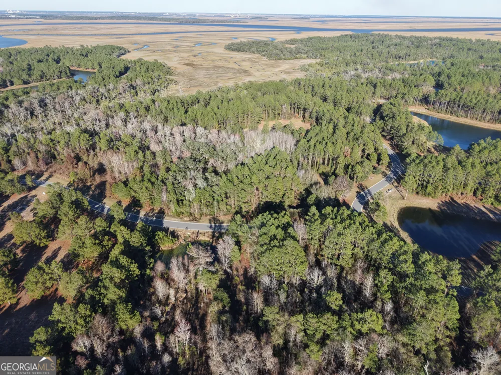 LOT 388 Bridge View LN Waverly, GA 31565