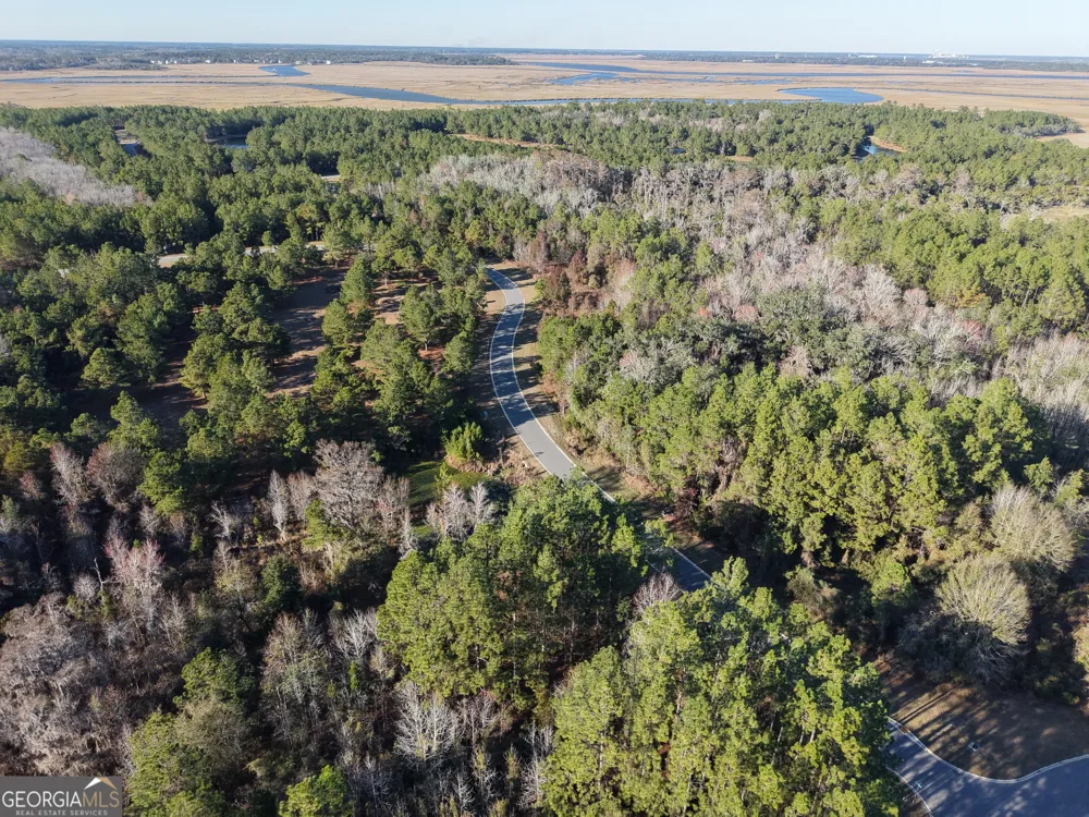 LOT 388 Bridge View LN Waverly, GA 31565