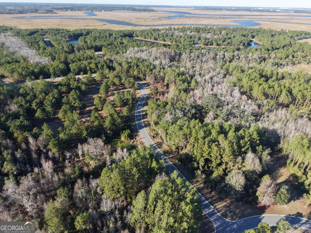 LOT 388 Bridge View LN Waverly, GA 31565