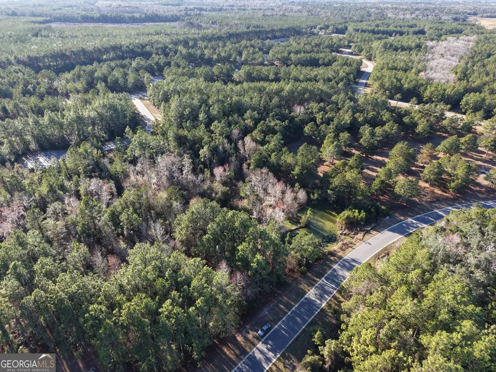 LOT 388 Bridge View LN Waverly, GA 31565
