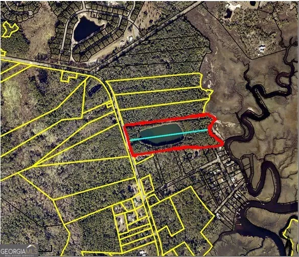 0 21 Acres Dover Bluff RD Waverly, GA 31565