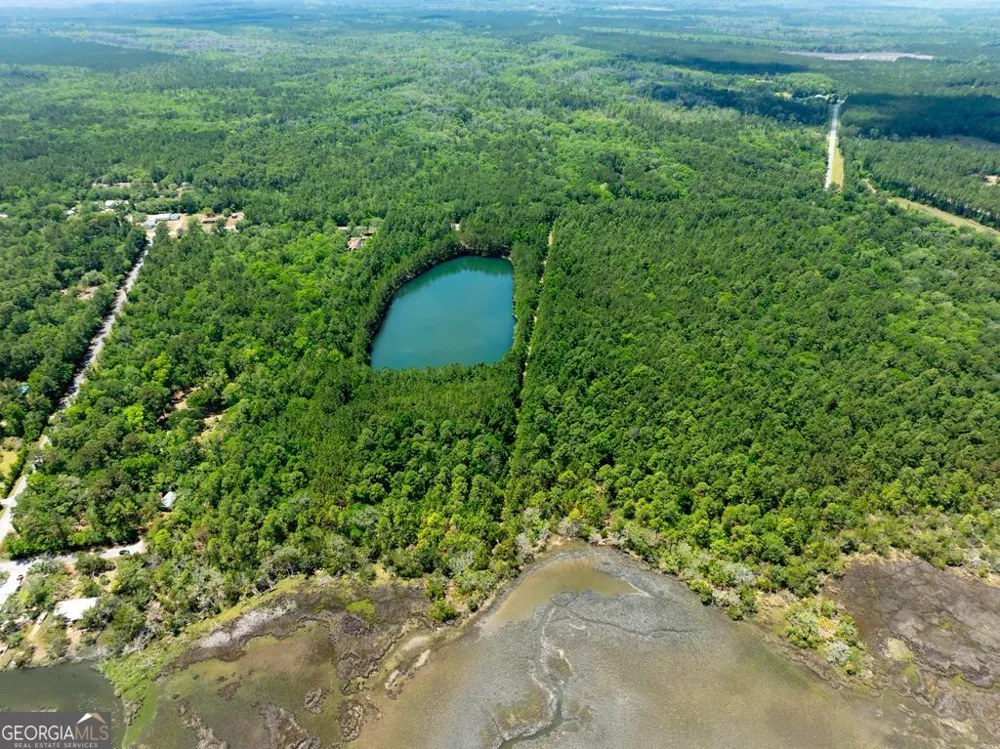 0 21 Acres Dover Bluff RD Waverly, GA 31565