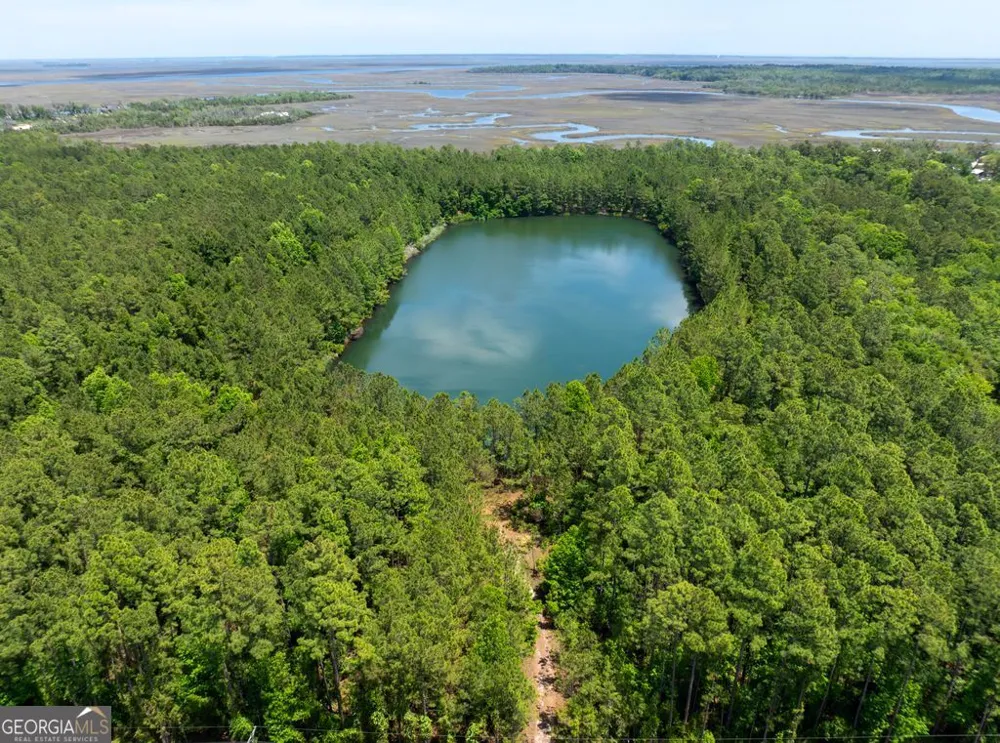 0 21 Acres Dover Bluff RD Waverly, GA 31565