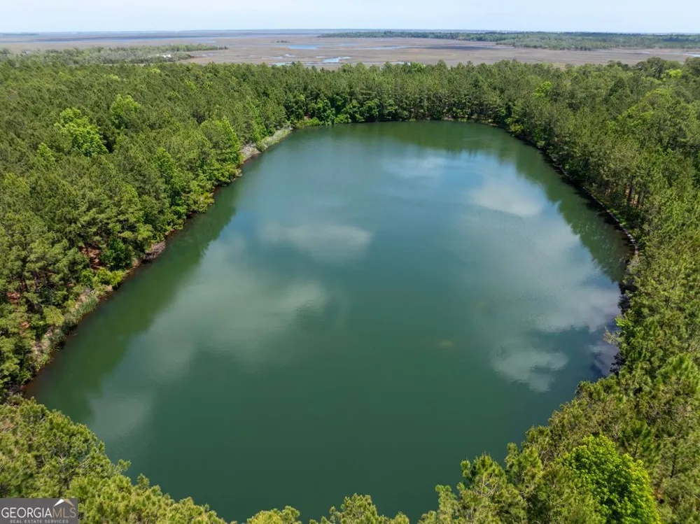 0 21 Acres Dover Bluff RD Waverly, GA 31565