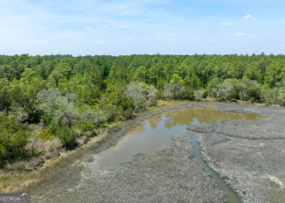 0 21 Acres Dover Bluff RD Waverly, GA 31565