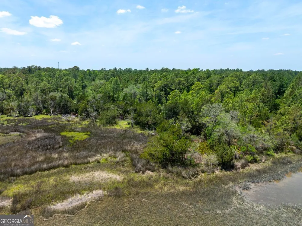 0 21 Acres Dover Bluff RD Waverly, GA 31565