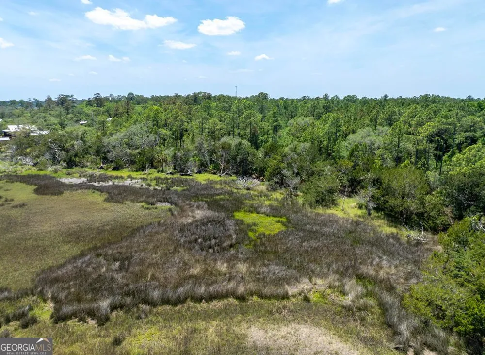 0 21 Acres Dover Bluff RD Waverly, GA 31565