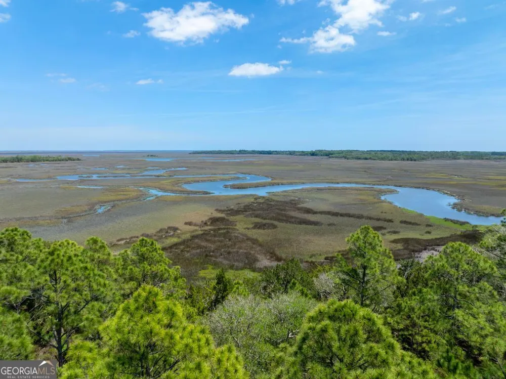 0 21 Acres Dover Bluff RD Waverly, GA 31565