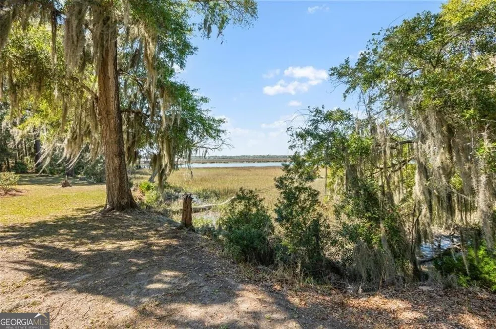 1045 River Club RD NE Townsend, GA 31331