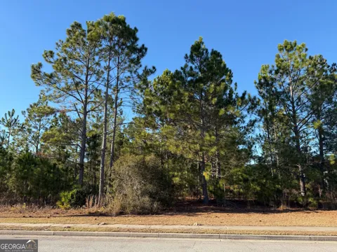 0 Weeping Willow DR