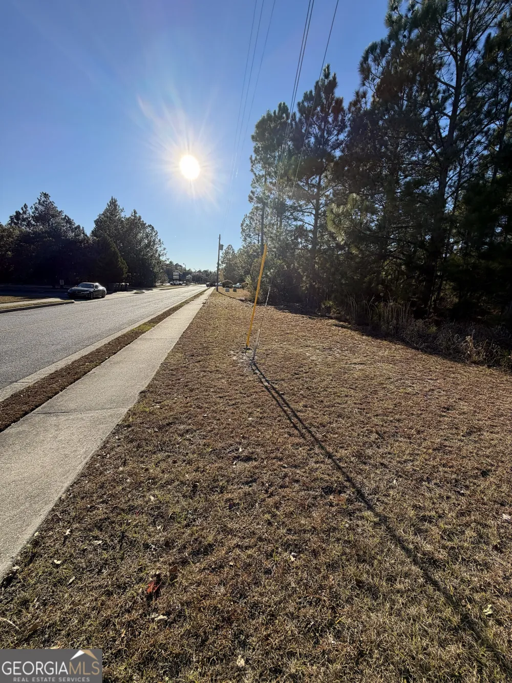 0 Weeping Willow DR Hinesville, GA 31313