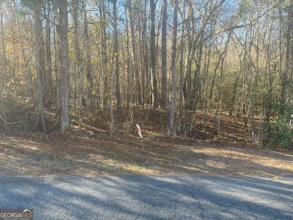 101 Waters PT Lizella, GA 31052
