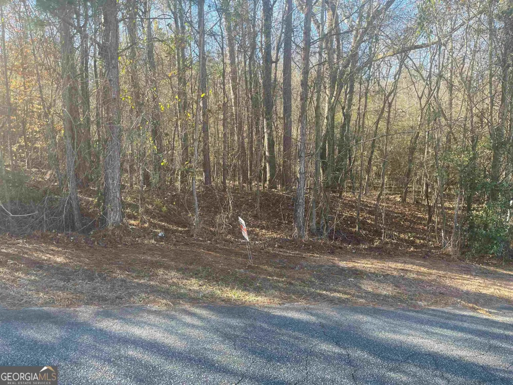 132 Waters PTE Lizella, GA 31052