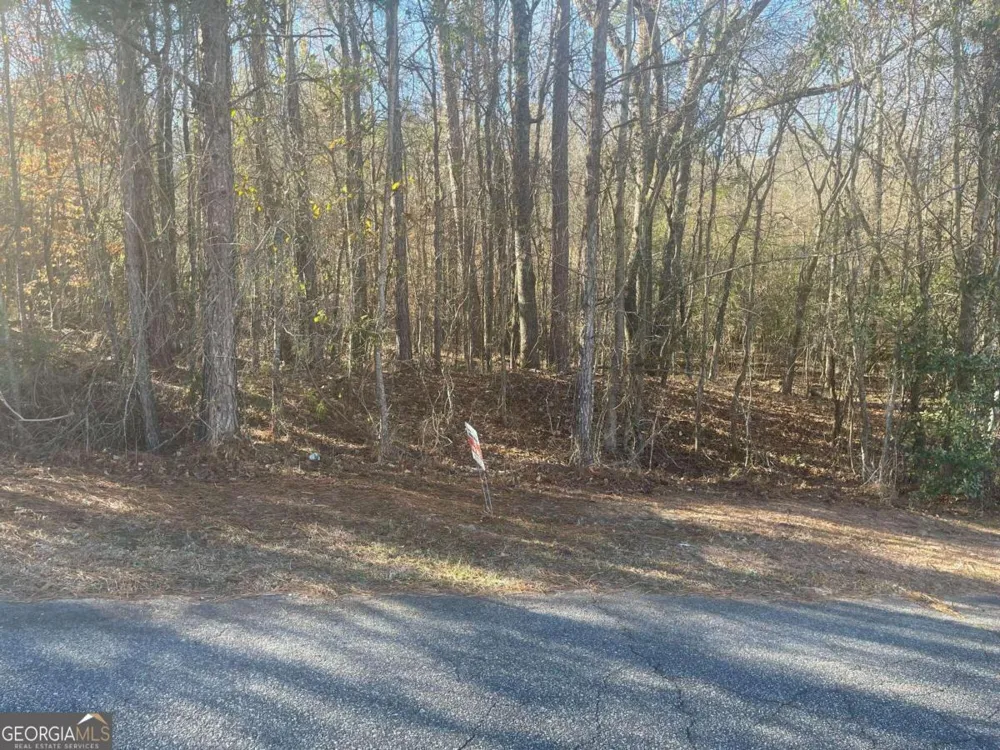 505 Spring RUN Lizella, GA 31052