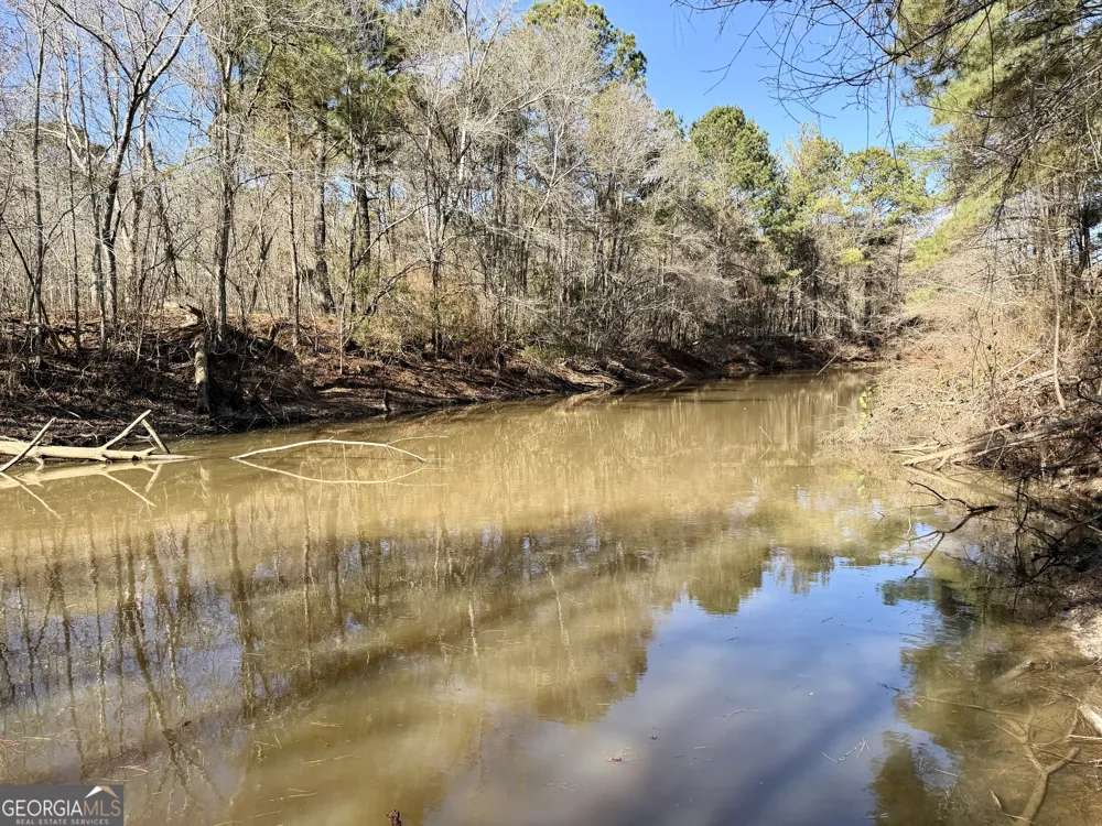 0 Jenkins Farm RD Byromville, GA 31007
