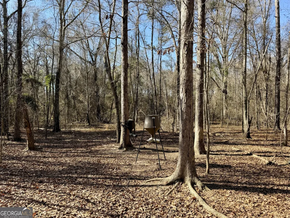 0 Jenkins Farm RD Byromville, GA 31007