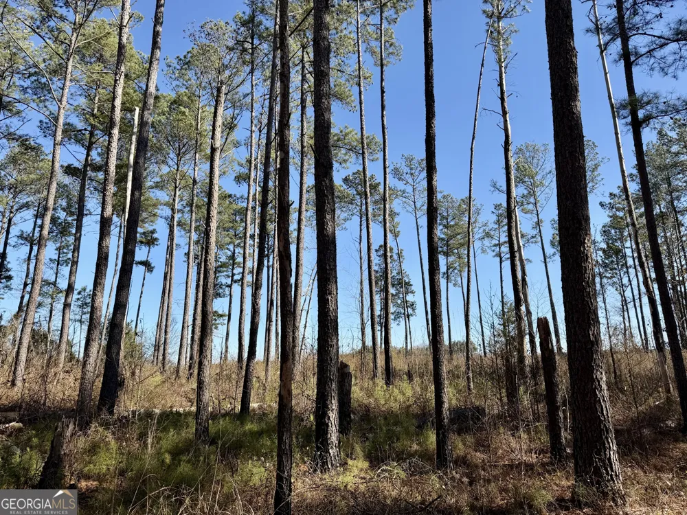 0 Jenkins Farm RD Byromville, GA 31007