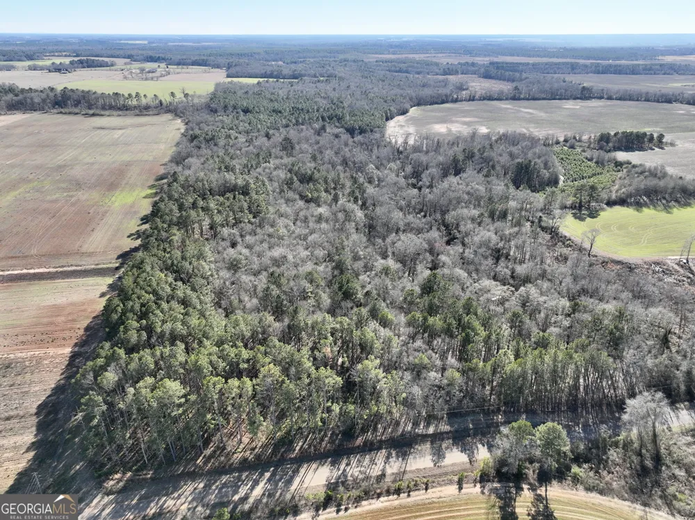 0 Jenkins Farm RD Byromville, GA 31007