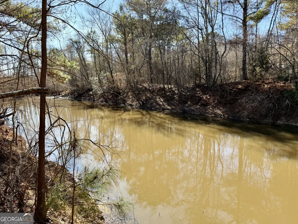 0 Jenkins Farm RD Byromville, GA 31007