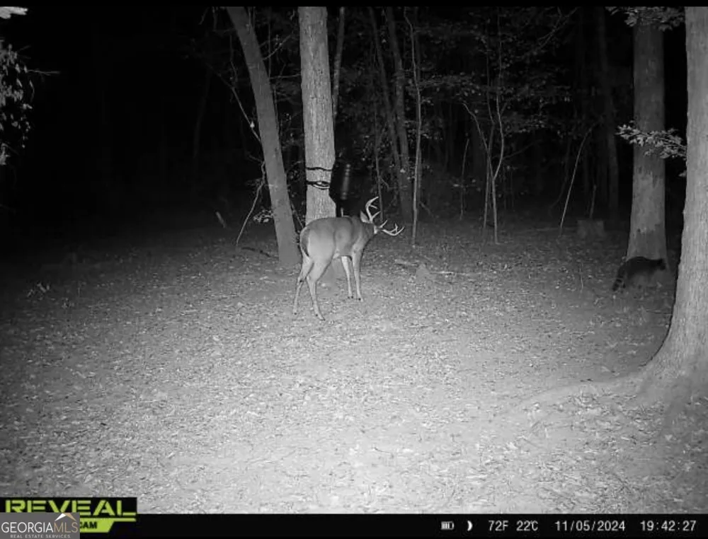 0 Jenkins Farm RD Byromville, GA 31007