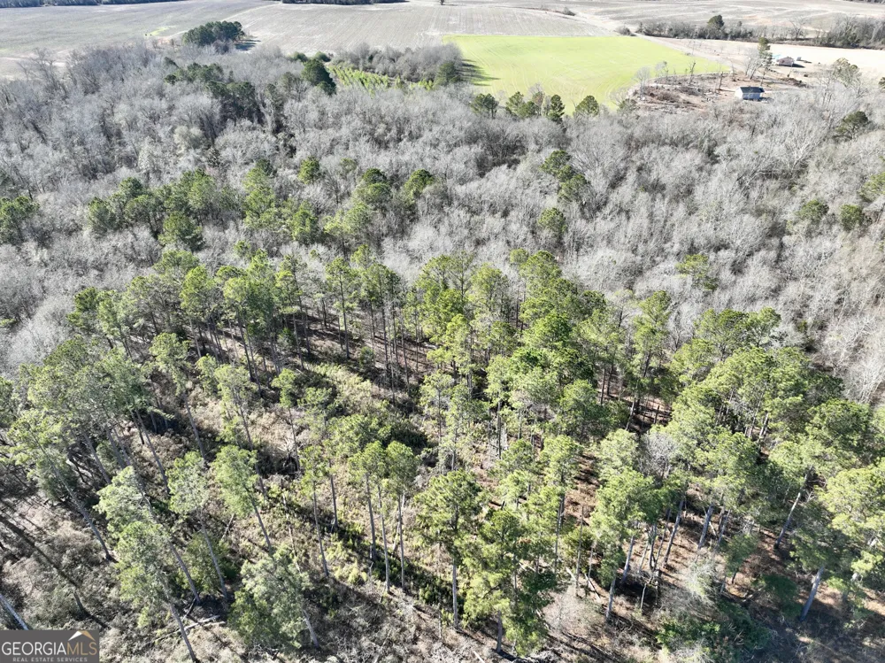 0 Jenkins Farm RD Byromville, GA 31007
