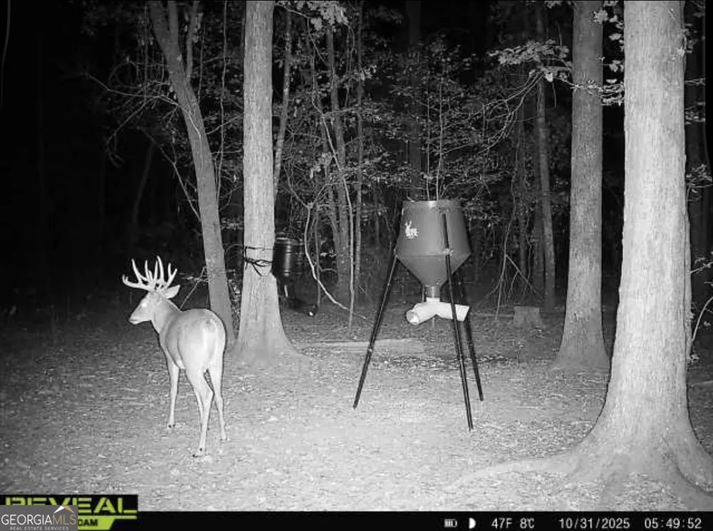 0 Jenkins Farm RD Byromville, GA 31007