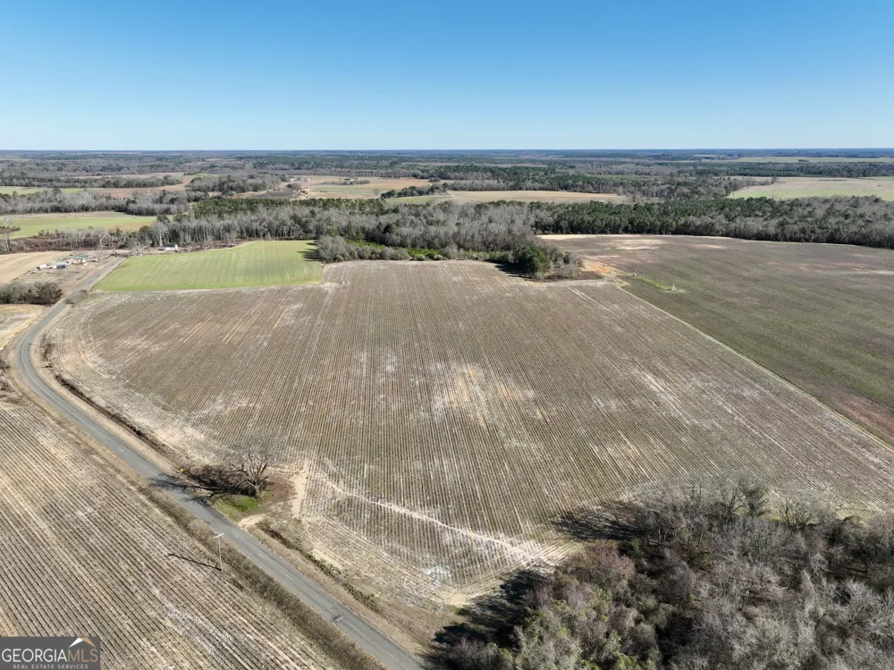 0 Jenkins Farm RD Byromville, GA 31007