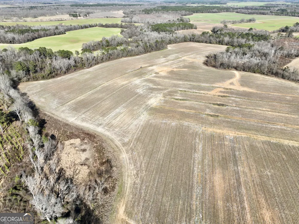 0 Jenkins Farm RD Byromville, GA 31007
