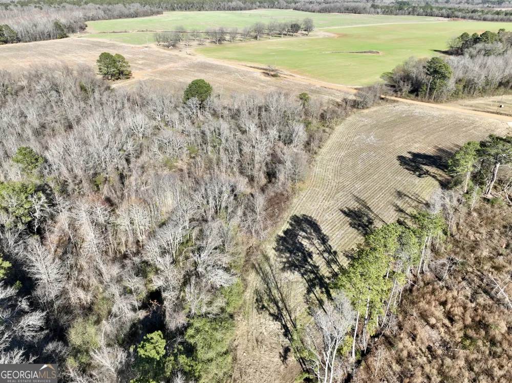 0 Jenkins Farm RD Byromville, GA 31007