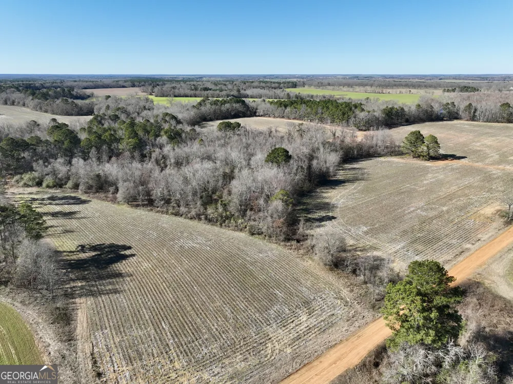 0 Jenkins Farm RD Byromville, GA 31007