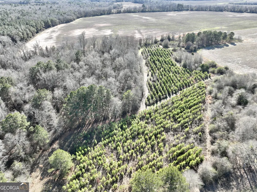 0 Jenkins Farm RD Byromville, GA 31007