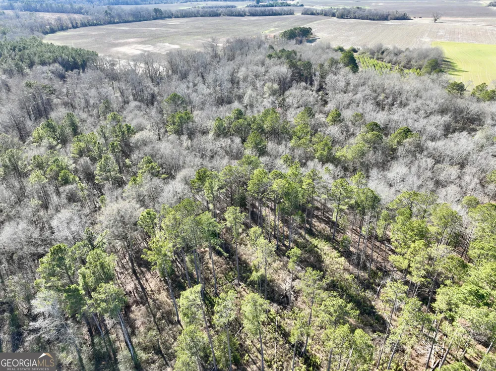 0 Jenkins Farm RD Byromville, GA 31007