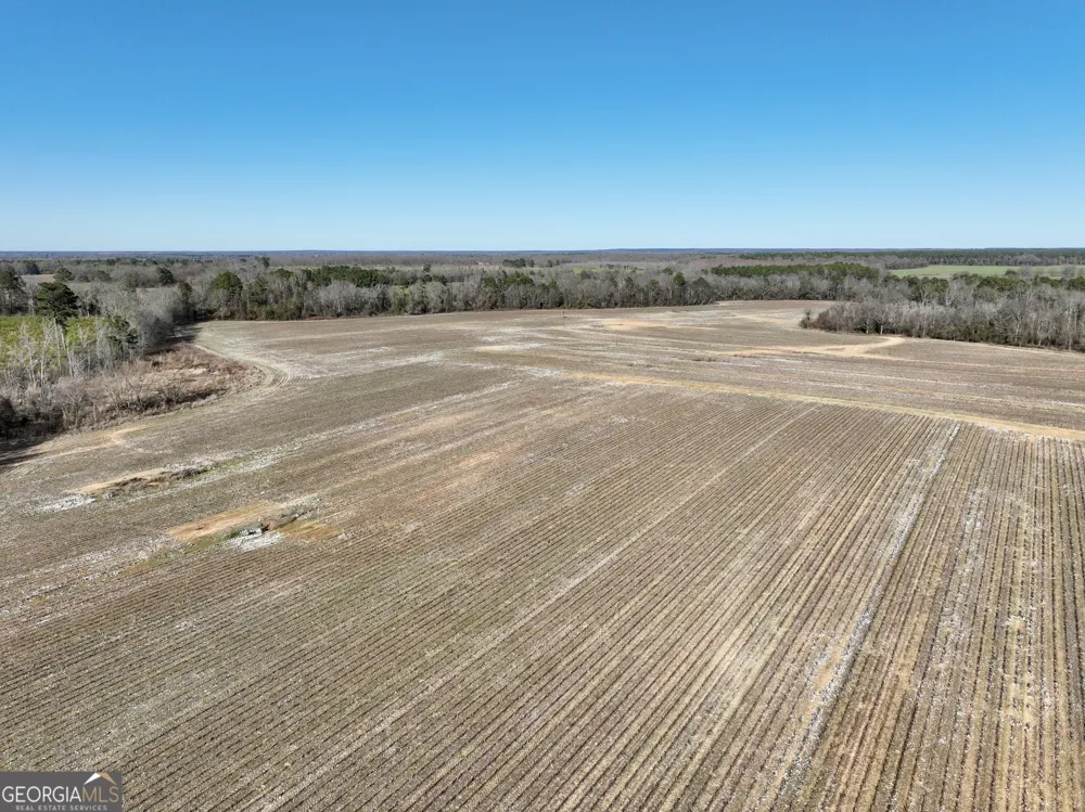 0 Jenkins Farm RD Byromville, GA 31007
