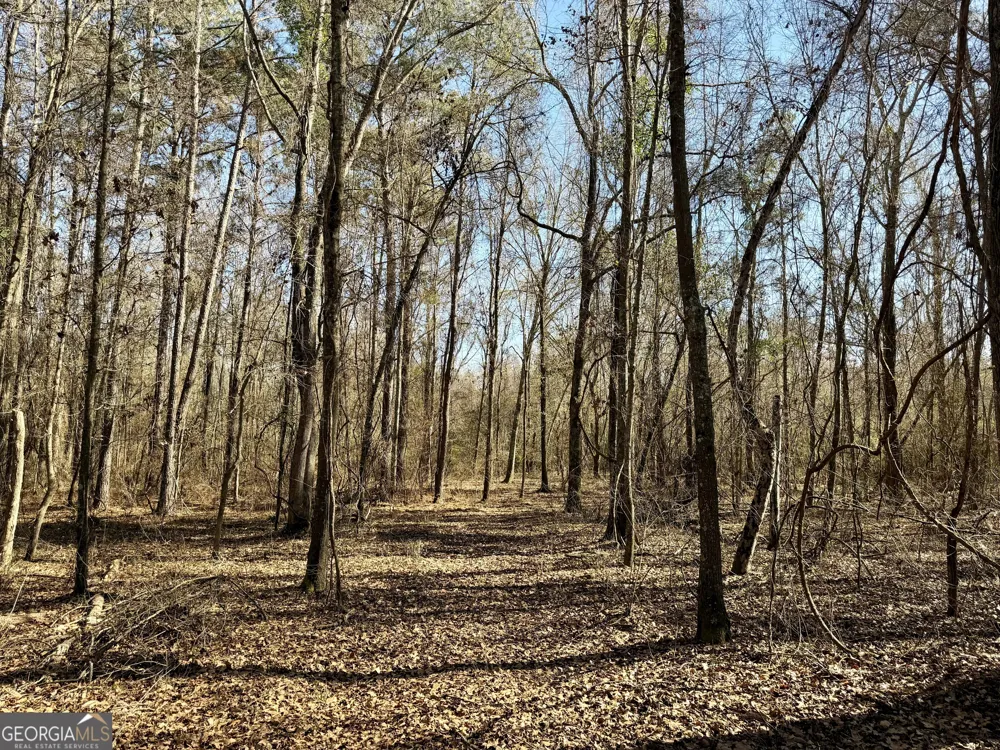 0 Jenkins Farm RD Byromville, GA 31007