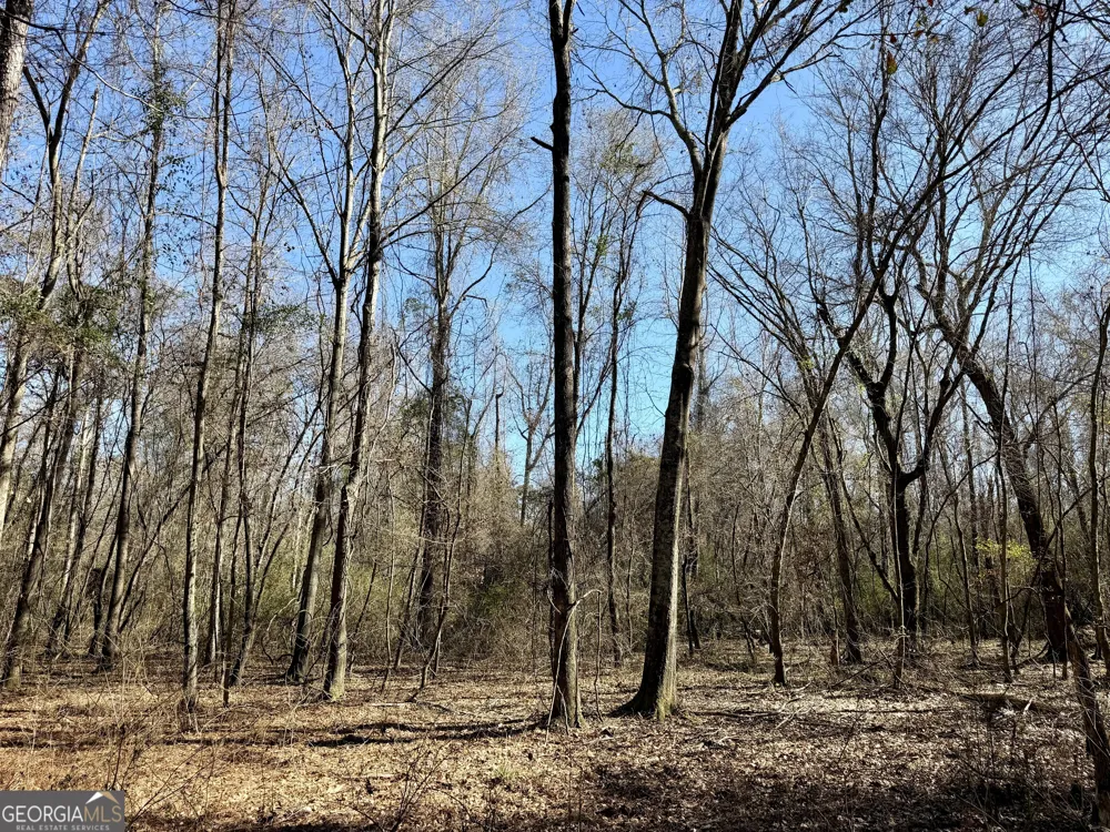 0 Jenkins Farm RD Byromville, GA 31007