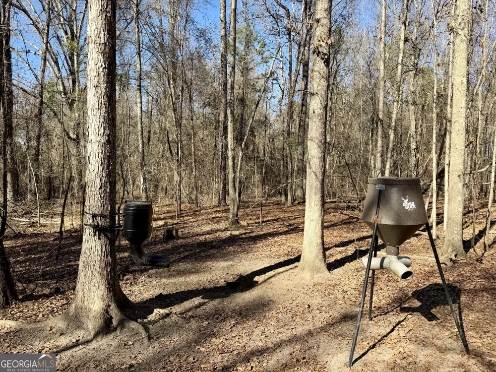0 Jenkins Farm RD Byromville, GA 31007