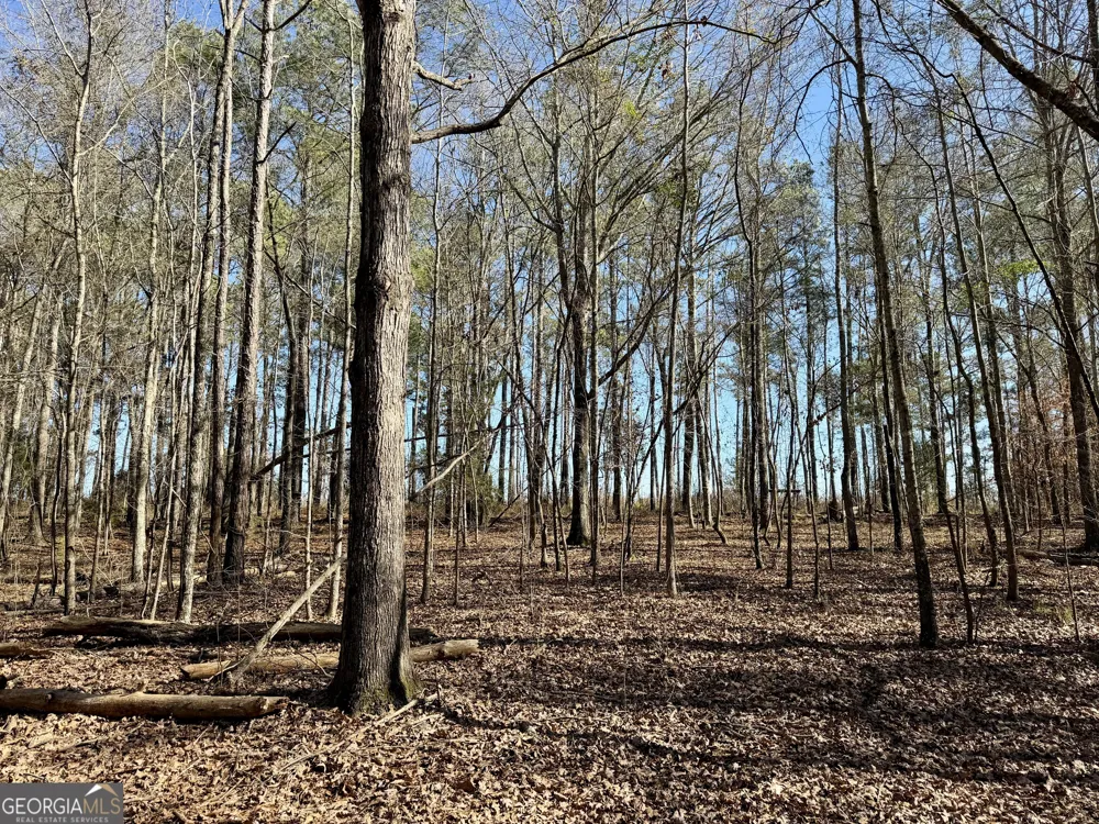 0 Jenkins Farm RD Byromville, GA 31007