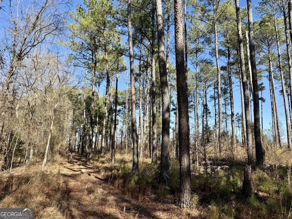 0 Jenkins Farm RD Byromville, GA 31007