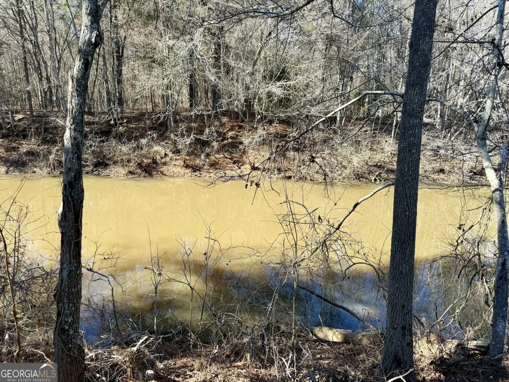 0 Jenkins Farm RD Byromville, GA 31007