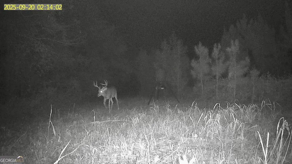 0 Jenkins Farm RD Byromville, GA 31007
