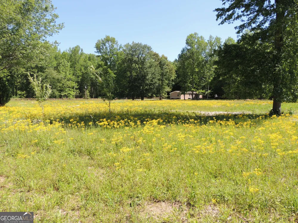 209 Horton RD Dahlonega, GA 30533