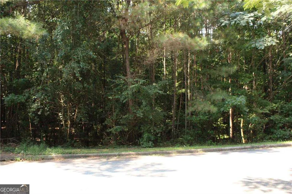8747 Camron DR Winston, GA 30187